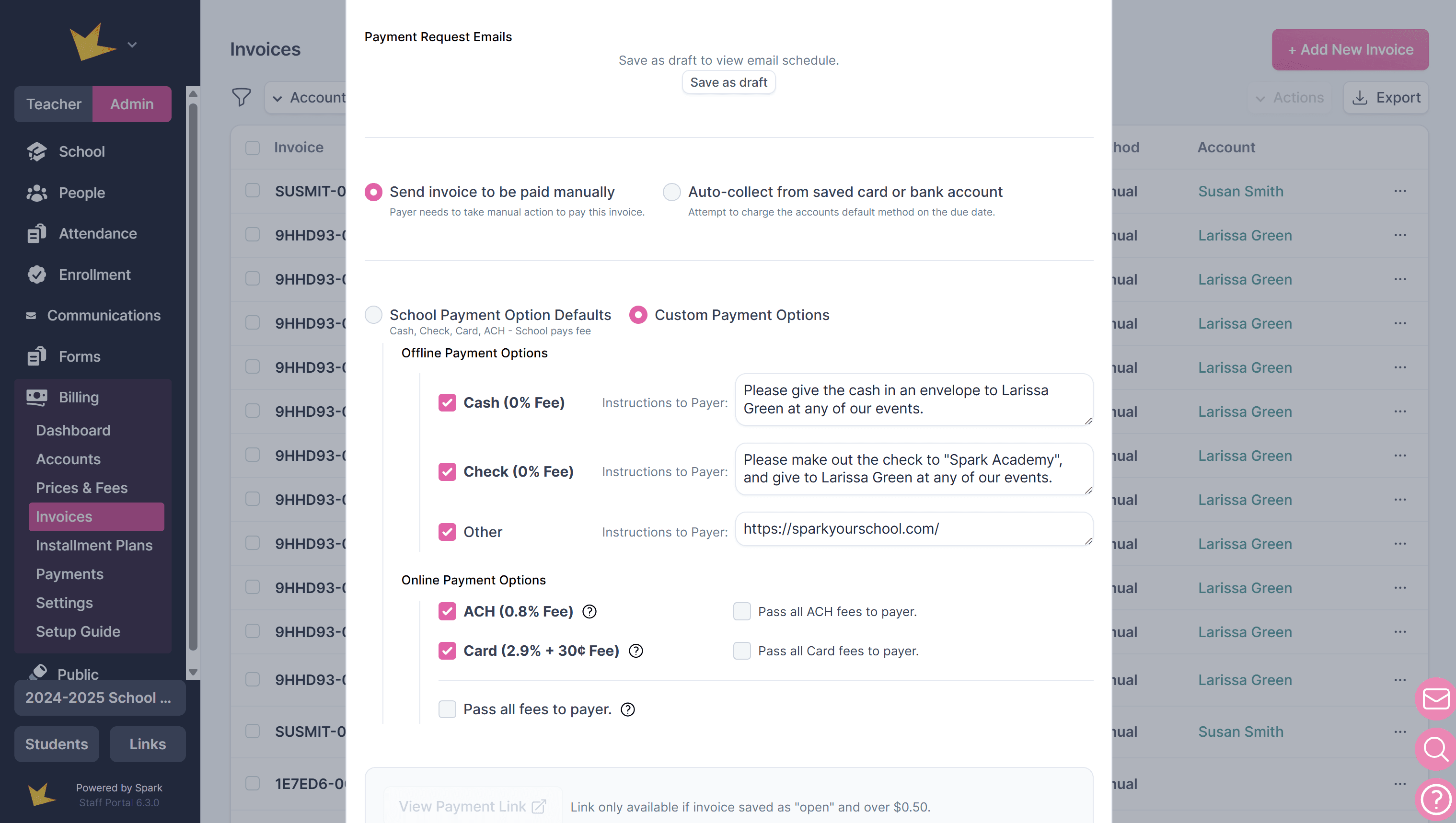 Custom payment options in an invoice